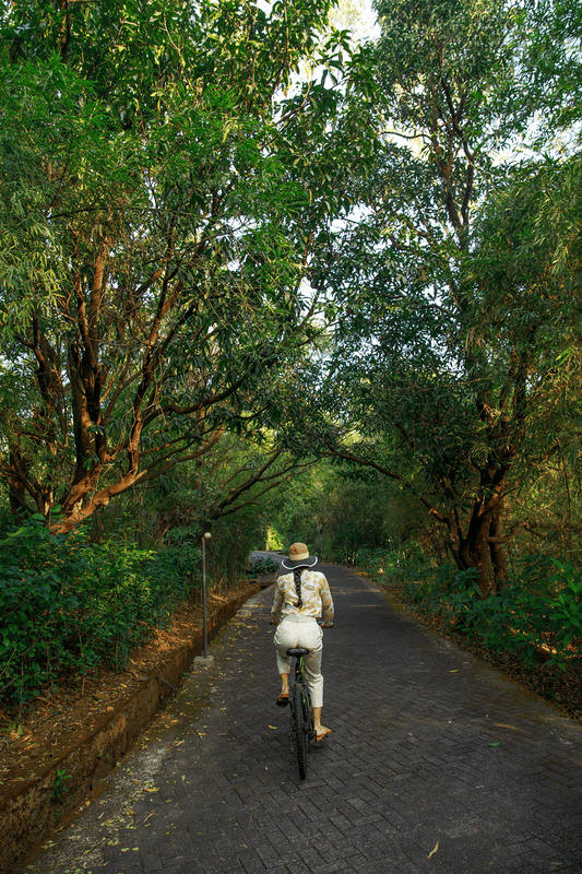 Dharana at Shillim 5*